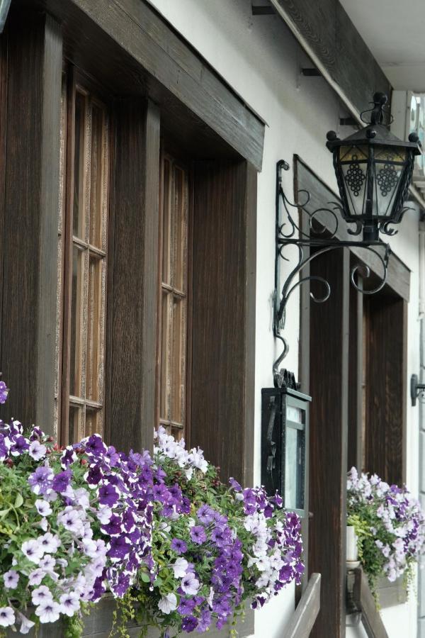 Hotel Tourist Meiringen Zewnętrze zdjęcie